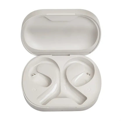 AI Translation Earbuds
