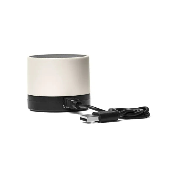 Budget Wireless Speaker