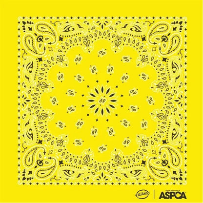 22"X22" Printed Square Bandana