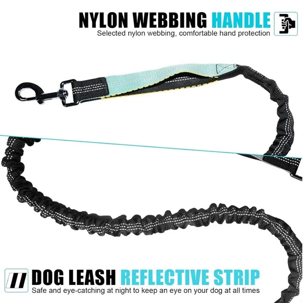 Tangle-Free Adjustable Dog Leash with Removable Storage Bag