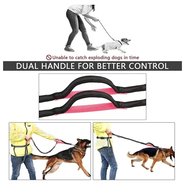 Tangle-Free Adjustable Dog Leash with Removable Storage Bag