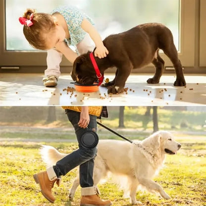 Portable Collapsible Pet Feeder