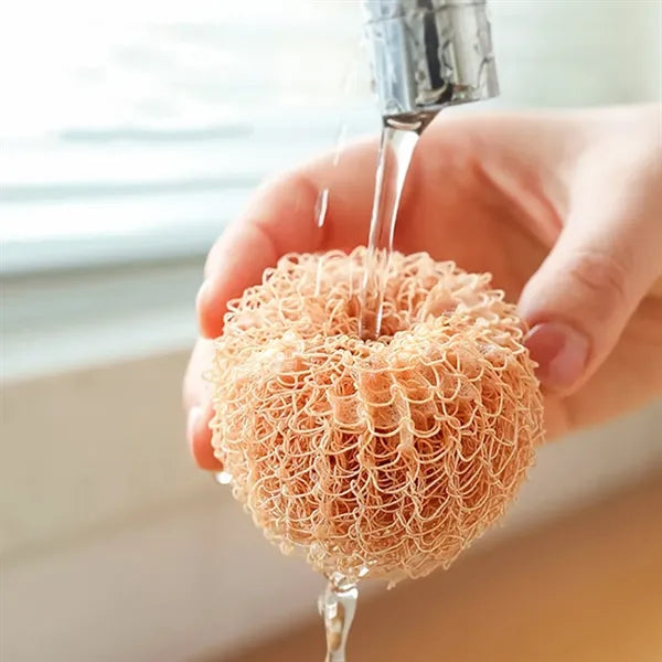 Egg-Shaped Detachable Fiber Bristles Rustproof Kitchen Brush