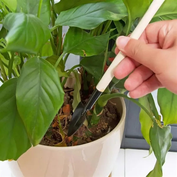 3-Piece Mini Garden Tool with Wooden Handle and Hanging Hole