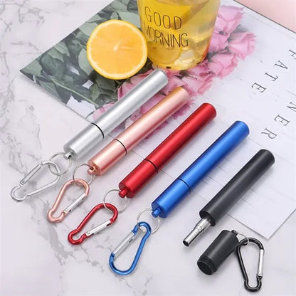 Eco Friendly Telescopic Stainless Steel Straws Kit