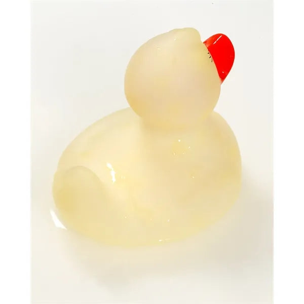 Color Changing Rubber Duck