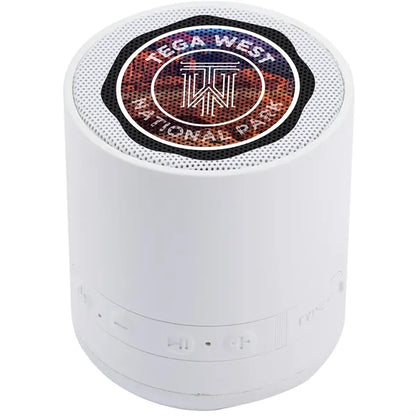 BuzzTurn Recycled Bluetooth Speaker