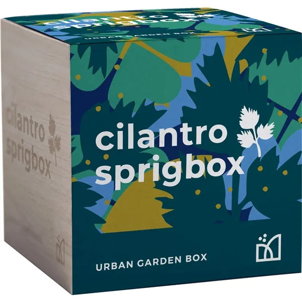 Sprigbox Cilantro Grow Kit