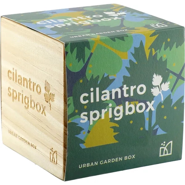 Sprigbox Cilantro Grow Kit