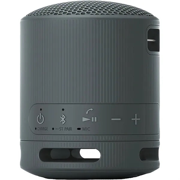 Sony SRS-XB100 Bluetooth Speaker