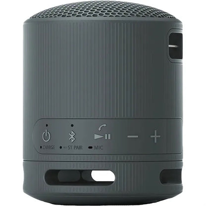 Sony SRS-XB100 Bluetooth Speaker