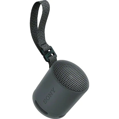 Sony SRS-XB100 Bluetooth Speaker