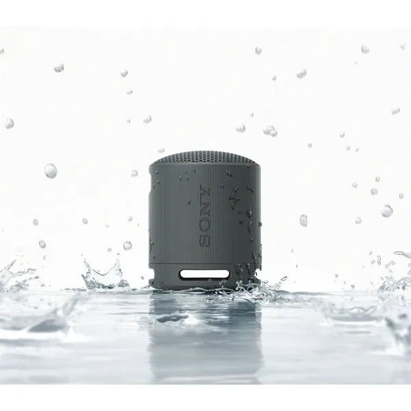 Sony SRS-XB100 Bluetooth Speaker