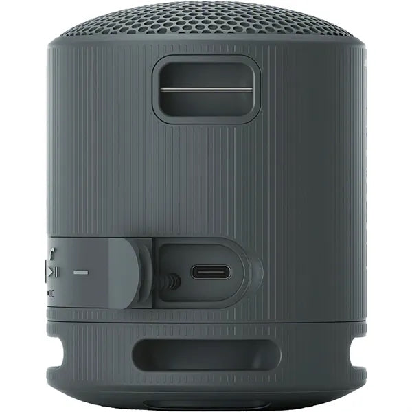 Sony SRS-XB100 Bluetooth Speaker