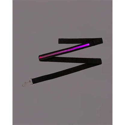 Rechargeable LED Light-Up Dog Leash
