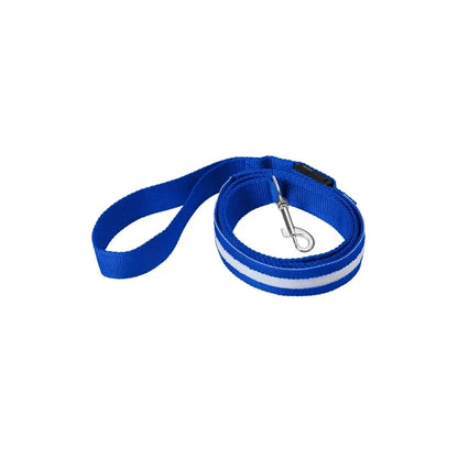 Rechargeable LED Light-Up Dog Leash
