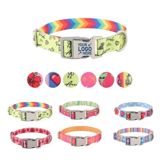 Nylon Dog Collars with Metal Bayonet
