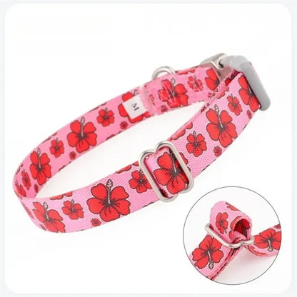 Nylon Dog Collars with Metal Bayonet