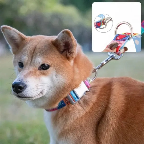 Nylon Dog Collars with Metal Bayonet