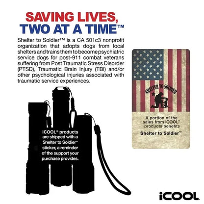 iCOOL Thornton Air Pump / Camping Light