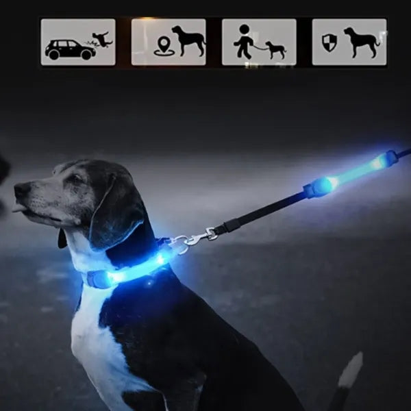 Pet safety noctilucence flash signal luminous warning strap