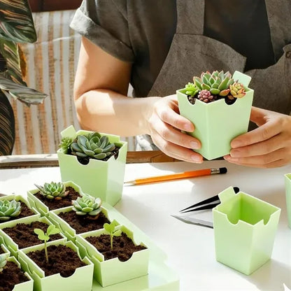 Seed Starting Tray