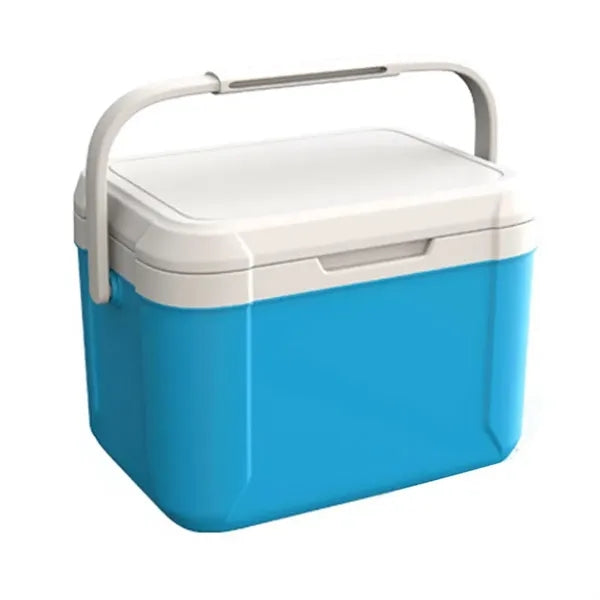 4.5QT Insulated Portable Cooler