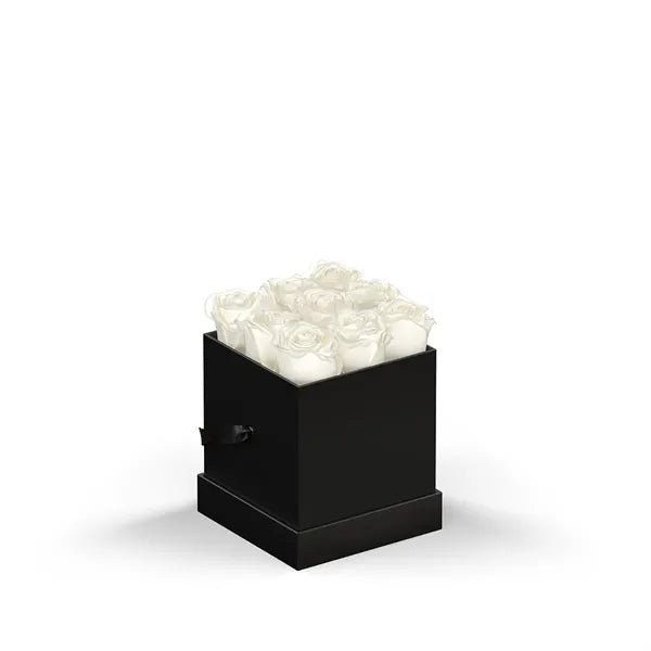 Classique Mini Square by VeF