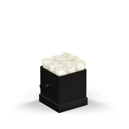 Classique Mini Square by VeF