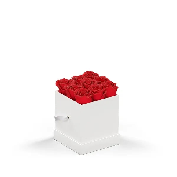 Classique Mini Square by VeF