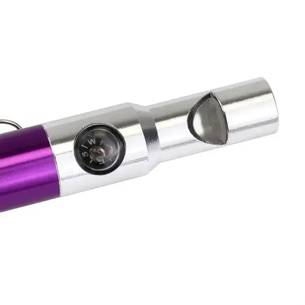 3 in 1 Keychain Flashlight Compass Whistle