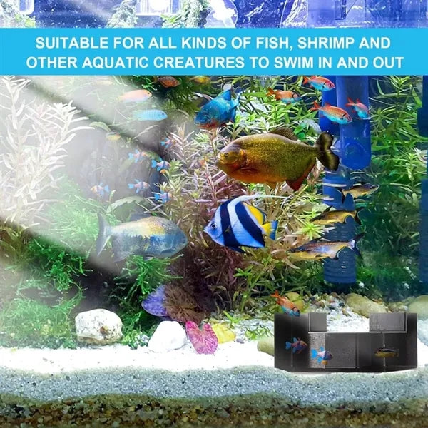 Aquarium Underground Tunnel