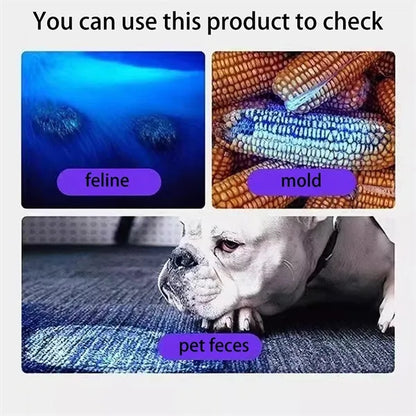 UV LED Flashlight for Mold Detection Pet Waste and Nail Art