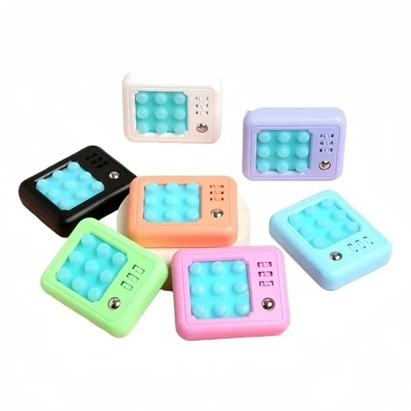 Pop Fidget Toys Key Chains