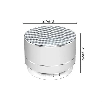 Auto-Pairing Metal Bluetooth Speaker with Hands-Free Call