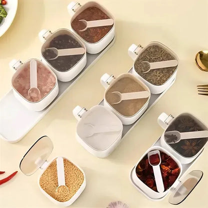Seasoning Box Set, with Lids and Spoon