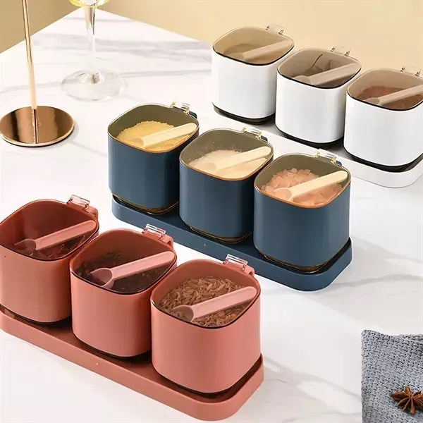 Seasoning Box Set, with Lids and Spoon