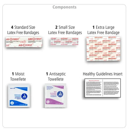 10 Piece First Aid Kit in Zipper Pouch