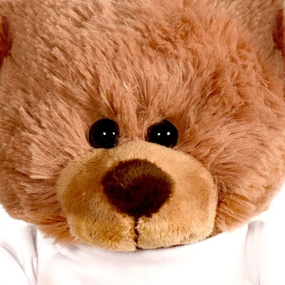 Plush Bear w/ Embroidered Paws and T-Shirt