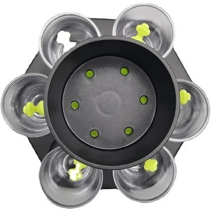 Creative 6-Shot Dispenser And Holder Set