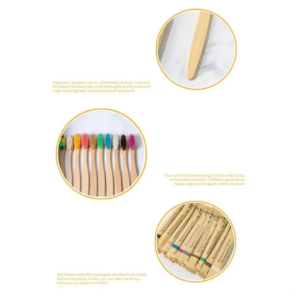 Biodegradable Bamboo Toothbrush