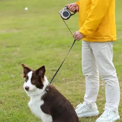 Retractable Dog Leash with Flashlight