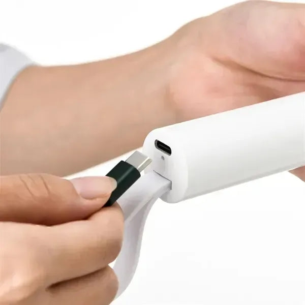 Electric Telescopic Duster