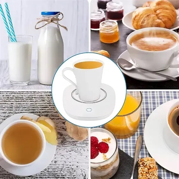 55 Degree Constant Temperature Cup Warmer