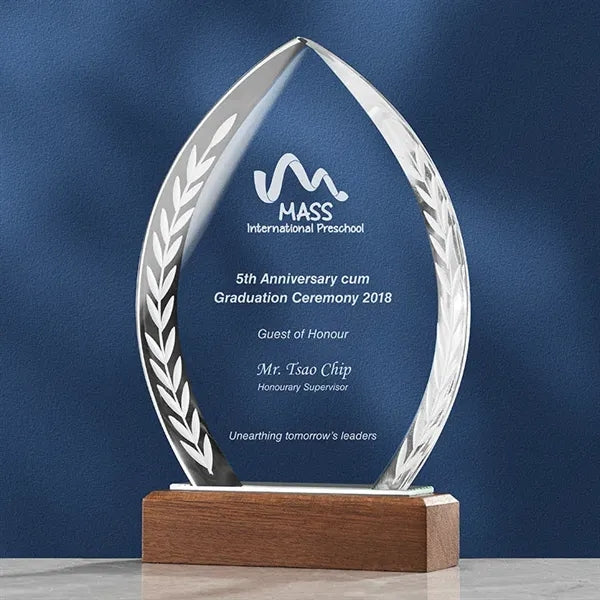Custom Crystal Glass Award Tropy  with Wood Base