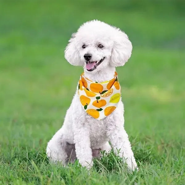 Pet Bandanas