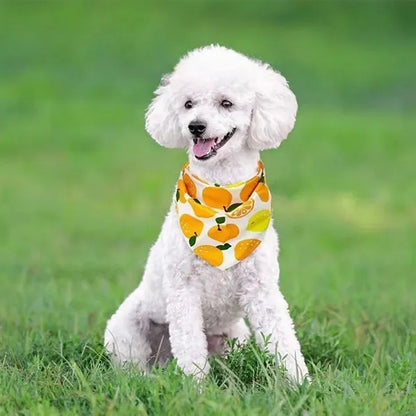 Pet Bandanas