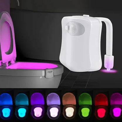 Toilet Bowl Night Light