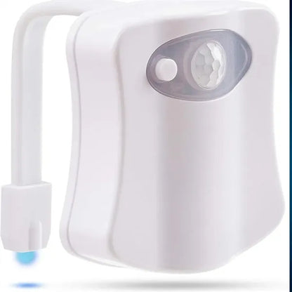 Toilet Bowl Night Light