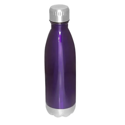 On-The-Go Insulated Vacuum Bottle